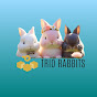 TRIO RABBITS logo