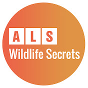 Wildlife Secrets