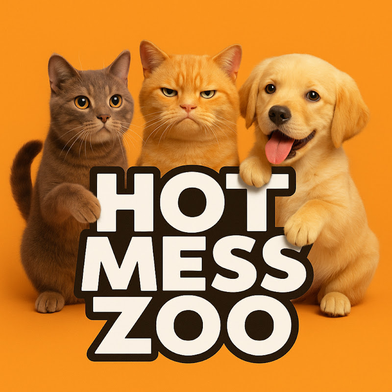 Hot Mess Zoo