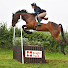 ma5j3-tbRPA-channel-avatar-ellahorses