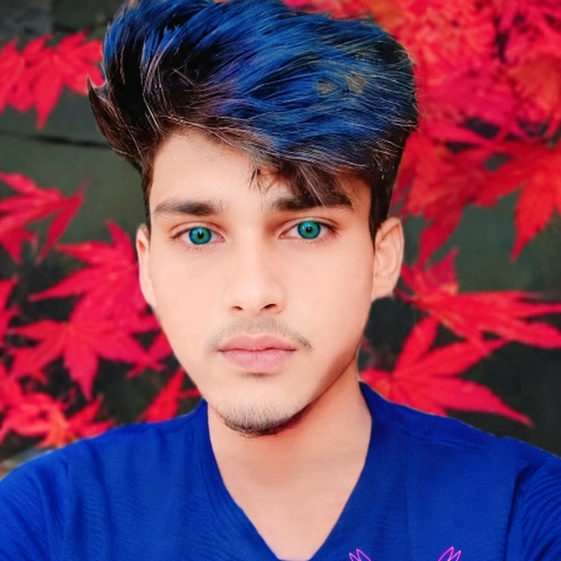 Md Sajid editor