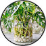 7FY7gxjmStE-channel-avatar-Plant Care Hacks 