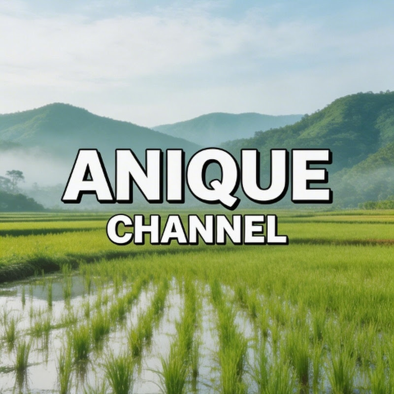 Anique Channel