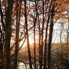 Via