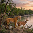 CM8DudJgYDc-channel-avatar-Sundarban explorer bangla