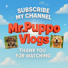 Mr Puppo vlogs