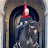 Horses Guard Uk