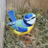 KBrN7XzY_YA-channel-avatar-Live Wild Bird Nest Camera