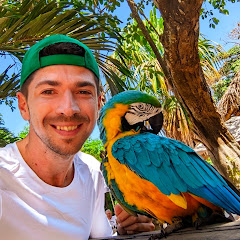 Чикенбас. Подорожі 🌎