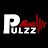 Pulzz Music