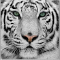 nani.the.tigress YouTube Profile Photo