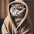 Rb_cYifFQm0-channel-avatar-เกาะกระแส