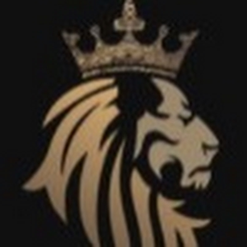 BLACK LION TRADER