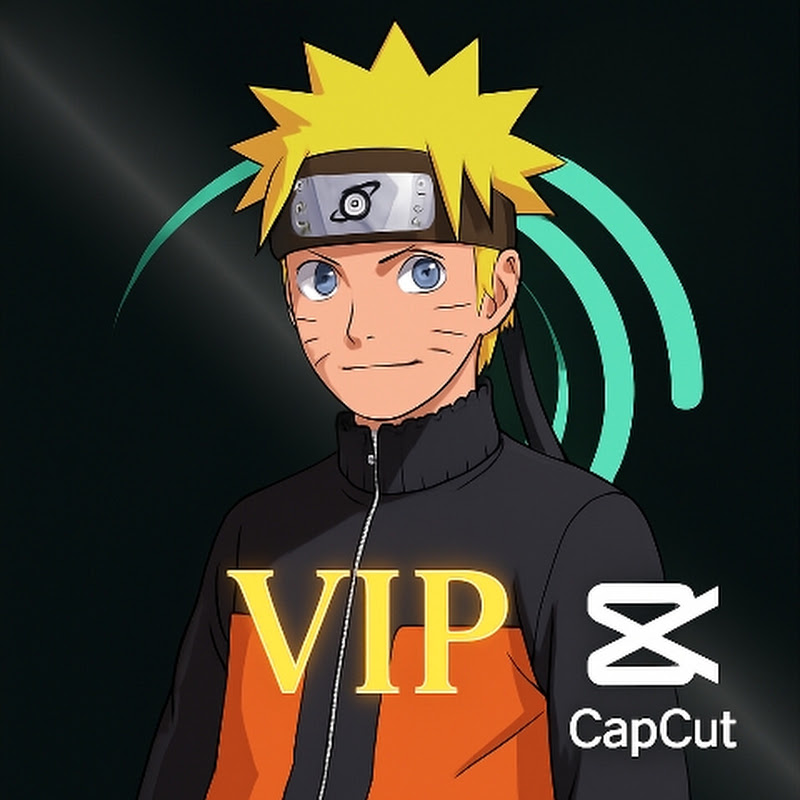  Vip