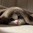 @aeshkaiseepy Avatar