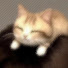h4vJIbBw2_o-channel-avatar-뮈..