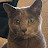@USAExit2UK's avatar