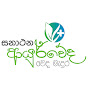 Sanathana Ayurveda logo