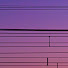 DmkjIGs5XSU-channel-avatar-おねぎ