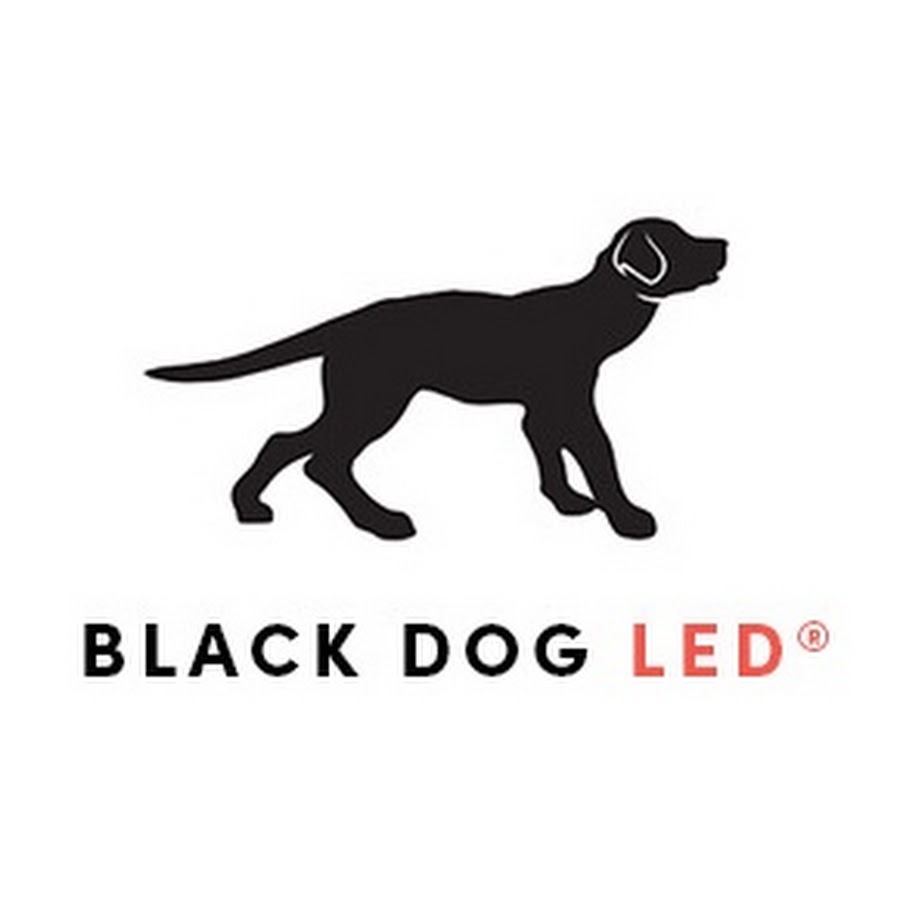 Black Dog LED - YouTube