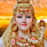 IrjzOzx_MFo-channel-avatar-Shibdum tv