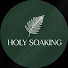 WjGvTzORRow-channel-avatar-Holy Soaking