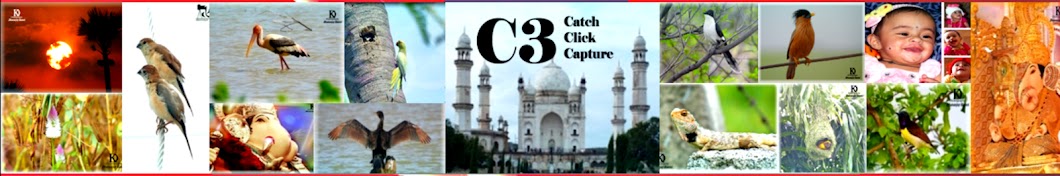 CatchClickCapture YouTube-Kanal-Avatar