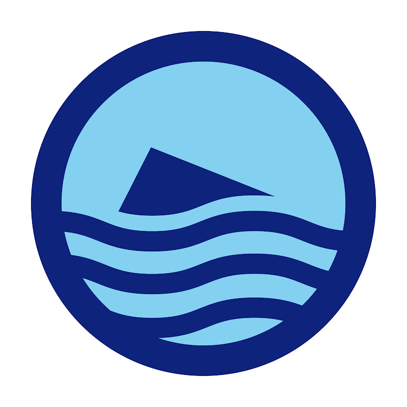 BeniCam - Benidorm Webcam logo