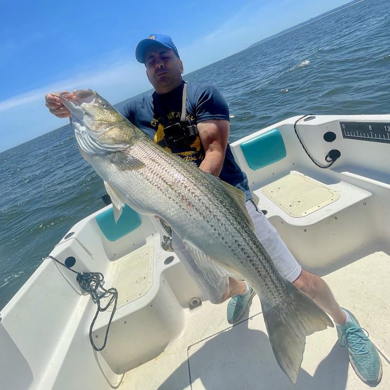 Jersey Boy's Journey