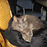 7dXM0RFYEHI-channel-avatar-Mr Dj House Rocker
