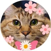 お花大好きイブちゃんねる