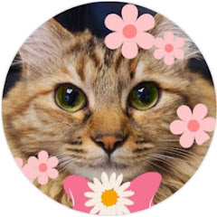 お花大好きイブちゃんねる