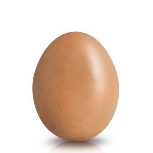 Egg