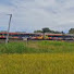 bJWFfst6X4M-channel-avatar-Railz_by_Daffa Daop 9