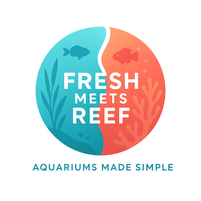 Fresh Meets Reef