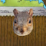 VeHlJpn4NfI-channel-avatar-Squirrel Tactics