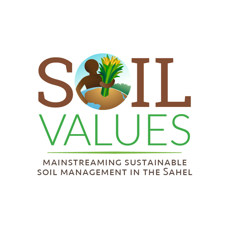 Soil Values Program