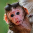 iFGeYCLM7pk-channel-avatar-Baby Fabulous
