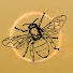 Rb5i8ISoDhQ-channel-avatar-emotional support bees