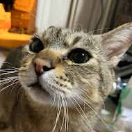 すばる君のパチ・チャンネル