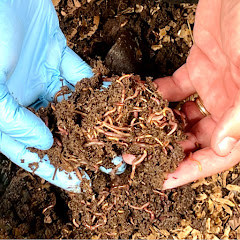 Vermicompost Learn by Doing Avatar
