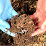 _buCXd7y0ho-channel-avatar-Vermicompost Learn by Doing