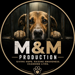 M&M Production