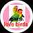SMS  BIRDS  LIFE