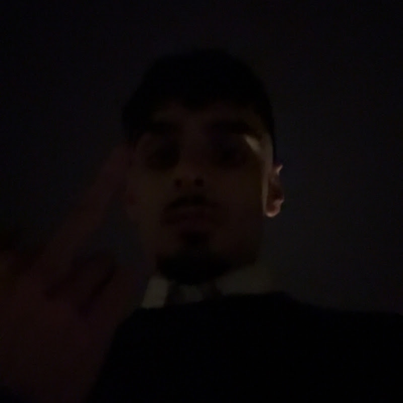 Hire FlipFlops — Lifestyle & Vlogs YouTube creator for sponsorships