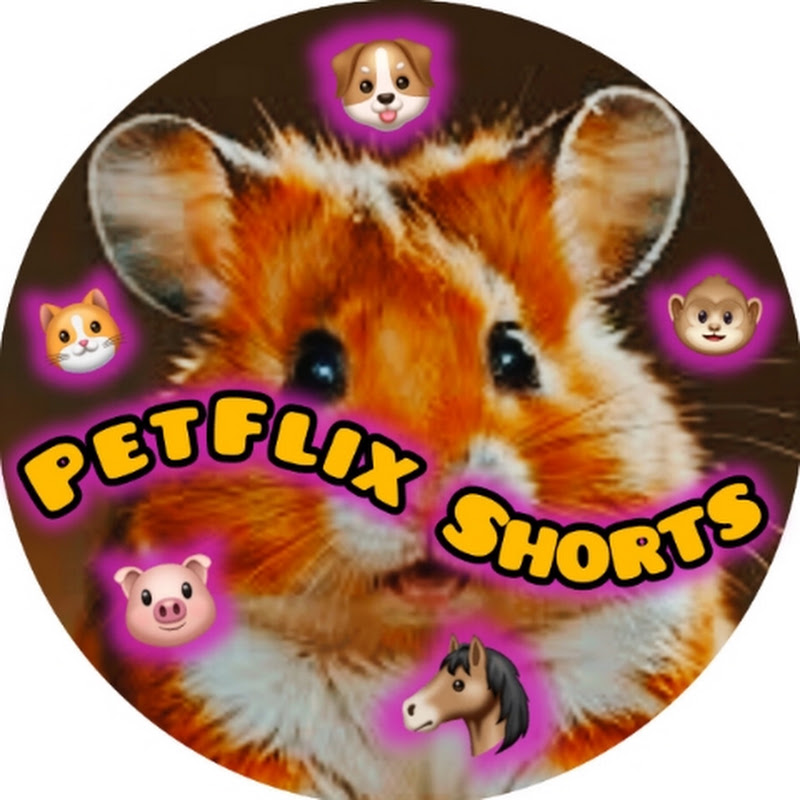 PETFLIX SHORTS