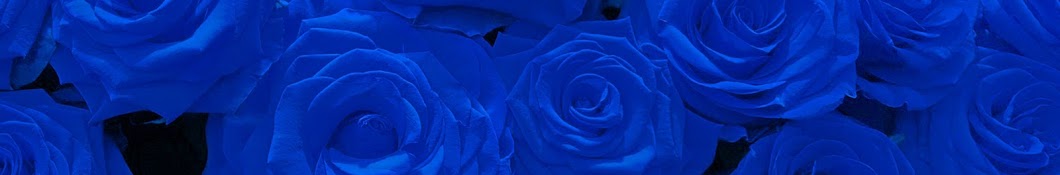 Blue Rose Channel Japan YouTube 频道头像