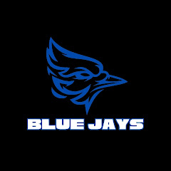 Blue Jays Breakdown