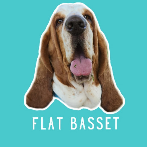 Flat Basset