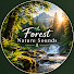 bZ6ssRa2CqM-channel-avatar-Forest Nature Sounds